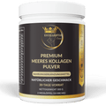 Premium Meeres-Kollagen Pulver – 10.000 mg | EXCELLENTIN CARE - Milano Royal Boutique